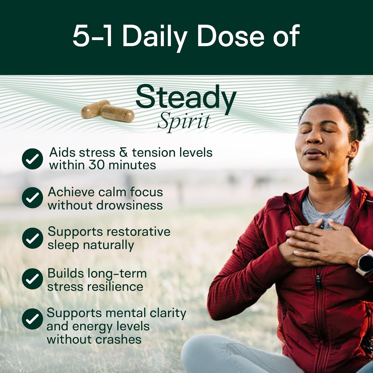 Adapt Naturals Steady Spirit Stress, Anxiety & Mood Support Supplement for Women and Men with Ashwagandha, L-Theanine, Holy Basil, Saffron, and Lemon Balm - Stress Relief Supplement - 30 Day Supply - Image 2