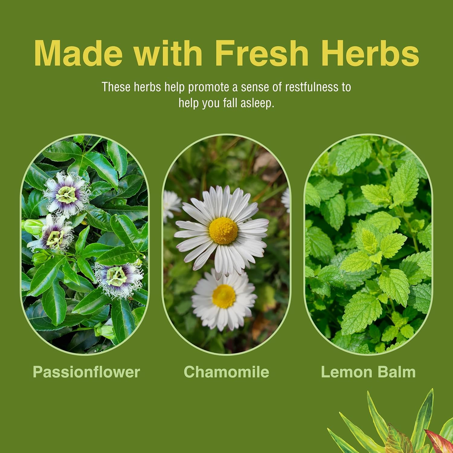 Herbs Etc. Deep Sleep Softgels - Herbal Sleep Support Supplement - Rest & Calming Support with Passionflower, Chamomile & Lemon Balm - 30 Softgels (30 Servings) - Image 6