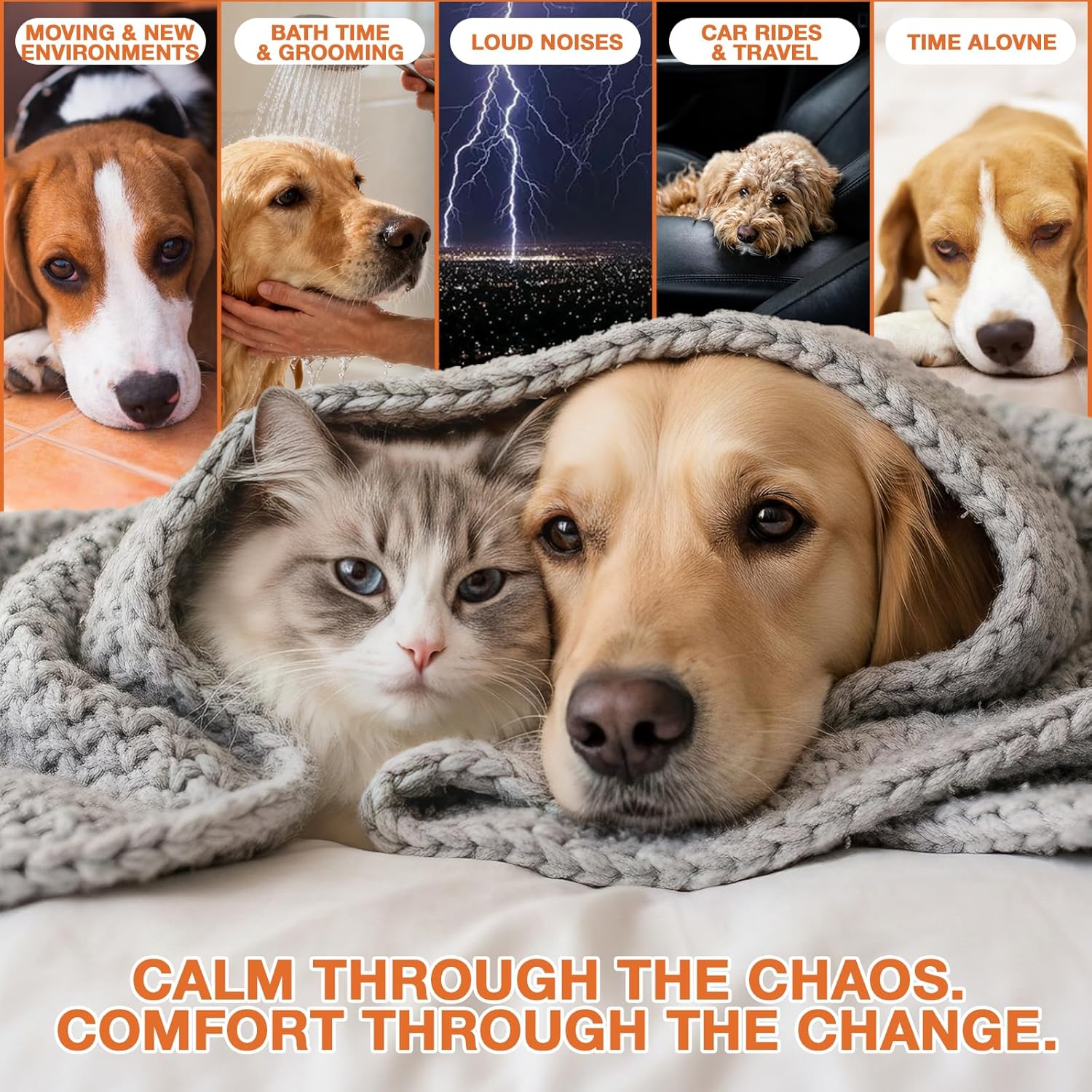 Неmp Oil for Dogs Cats (2-Pack), B0GVNK6SWG, Organic Dog Anxiеty Relief B0GVNK6SWG - Image 2