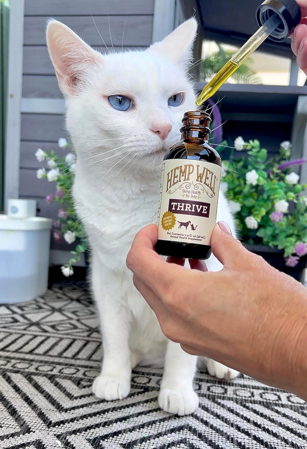 Hemp Well Thrive Oil for Dogs and Cats – Supports Hip, Joint, and Heart Health, Promotes Immune Support, Strengthens Skin and Coat, Organically Sourced – 2 Ounces - Image 5