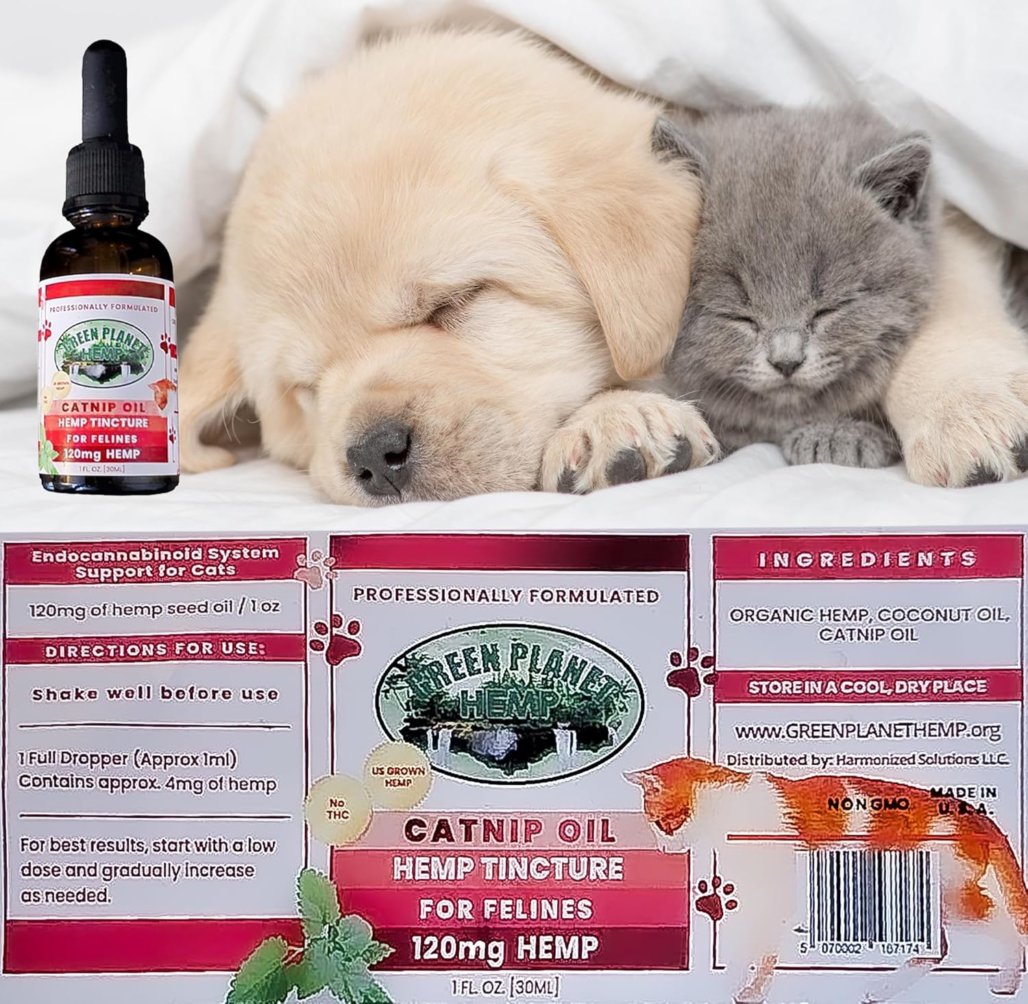 Pet Hemp Oil | Catnip Oil | Dogs and Catsl | Aids with Anxiety, Stress, Pain, Hip, Joint, and Muscle Support for Young to Senior Pets | 120MG Organic Hemp | 100% Natural | Green Planet Hemp - Image 6
