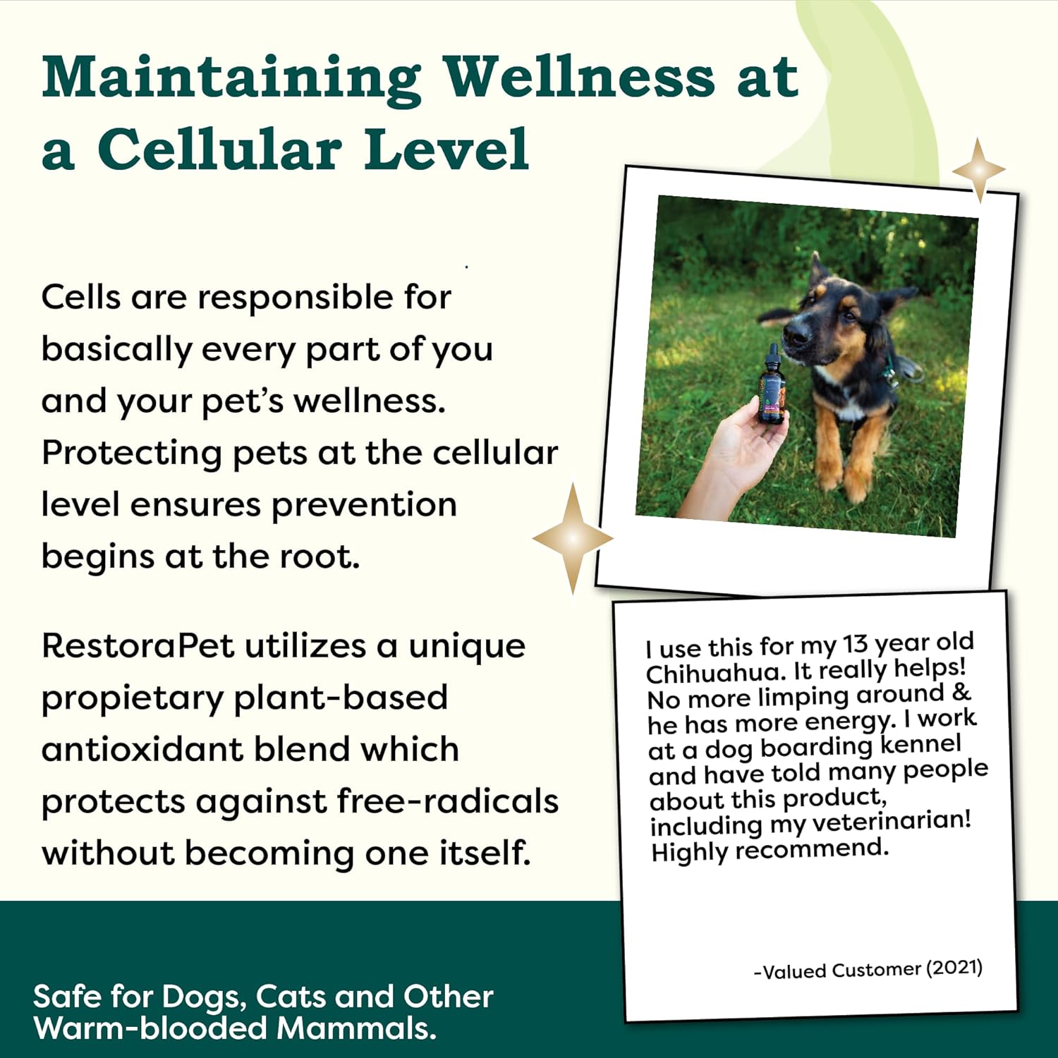 RestoraPet PM Formula Organic Wellness Oil Dogs and Cats 600mg Anti-Inflammatory Liquid Drops Promote Joint Pain Relief and Mobility with Organic Turmeric Curcumin CoQ10 – Bacon Flavor 2 oz. - Image 2