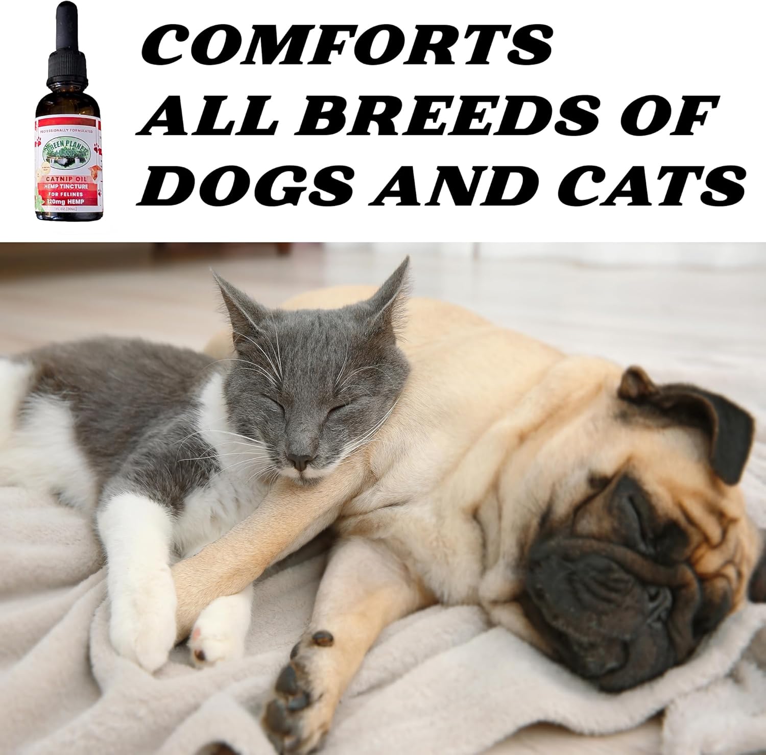 Pet Hemp Oil | Catnip Oil | Dogs and Catsl | Aids with Anxiety, Stress, Pain, Hip, Joint, and Muscle Support for Young to Senior Pets | 120MG Organic Hemp | 100% Natural | Green Planet Hemp - Image 3