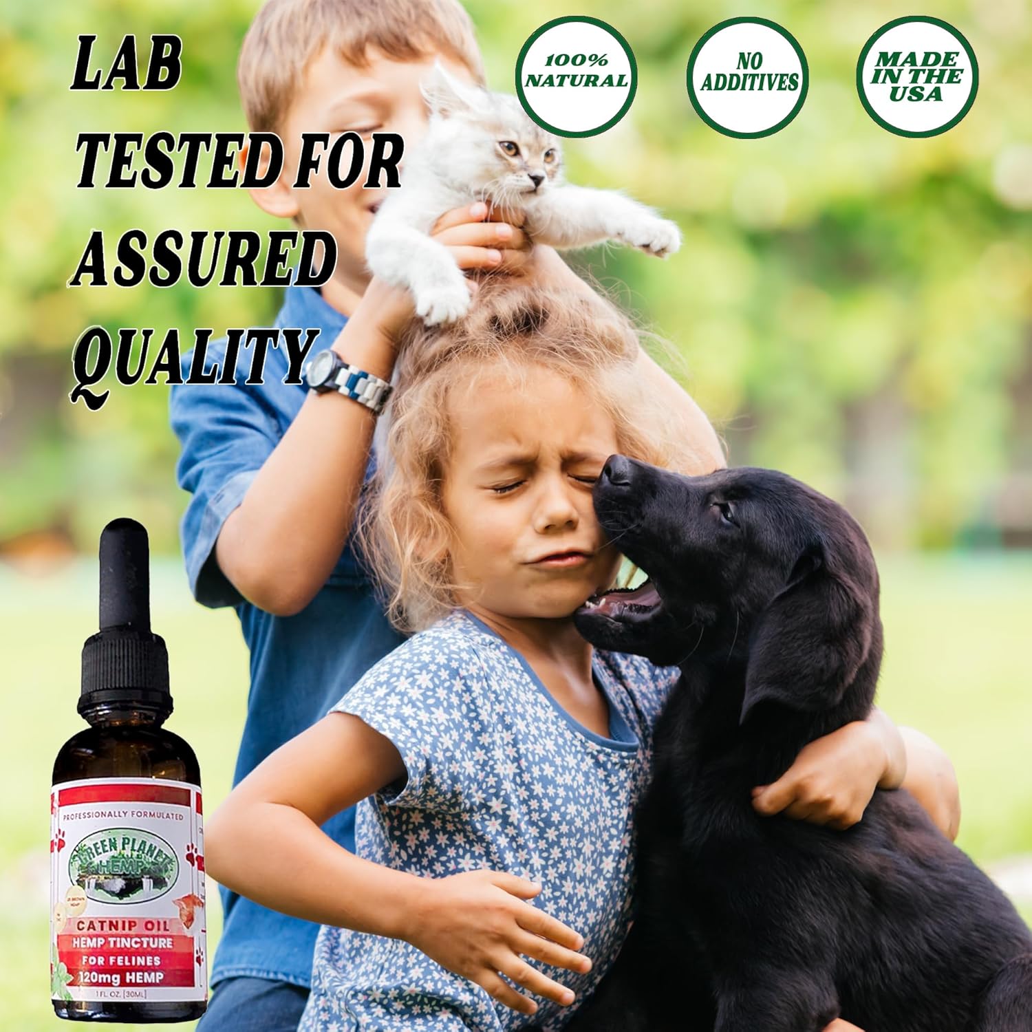 Pet Hemp Oil | Catnip Oil | Dogs and Catsl | Aids with Anxiety, Stress, Pain, Hip, Joint, and Muscle Support for Young to Senior Pets | 120MG Organic Hemp | 100% Natural | Green Planet Hemp - Image 5