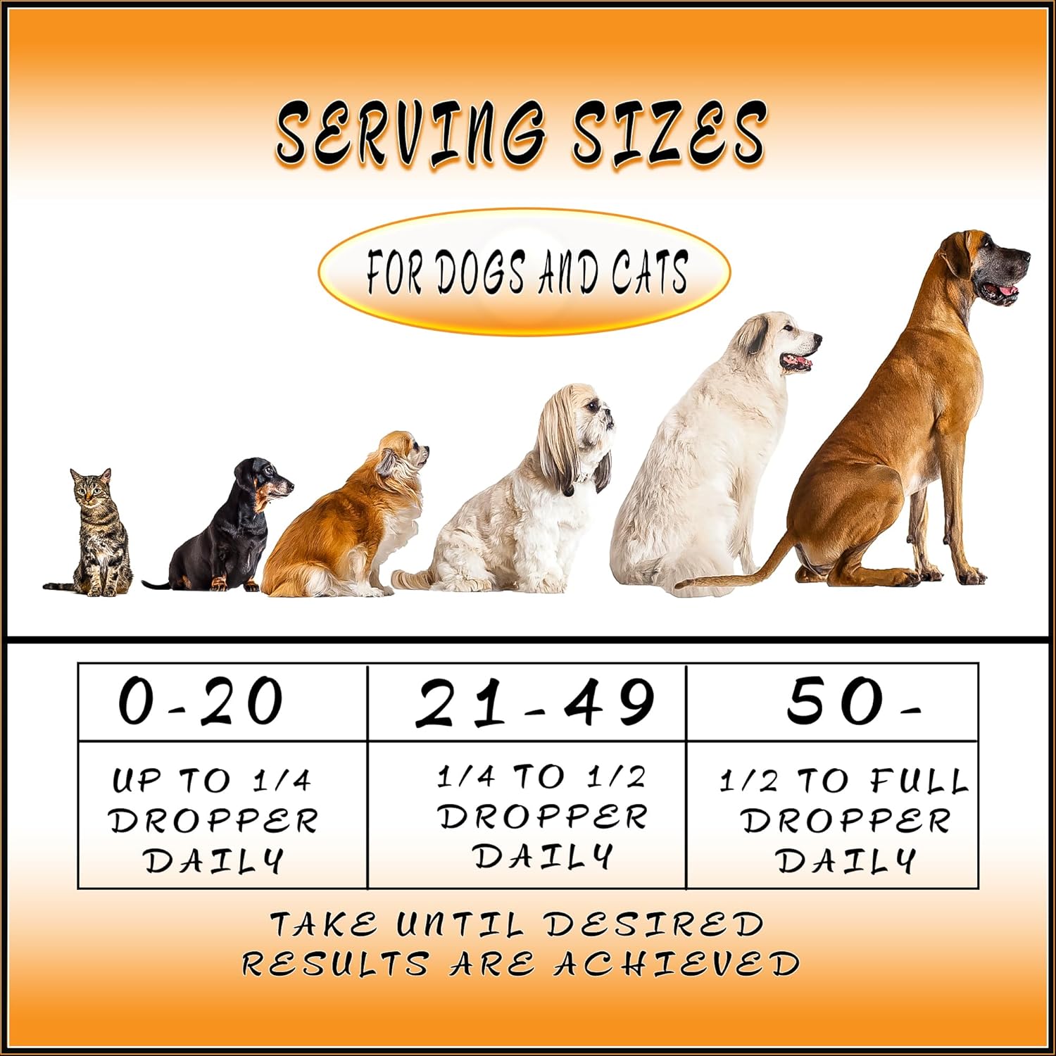 Pet Hemp Oil | Catnip Oil | Dogs and Catsl | Aids with Anxiety, Stress, Pain, Hip, Joint, and Muscle Support for Young to Senior Pets | 120MG Organic Hemp | 100% Natural | Green Planet Hemp - Image 7