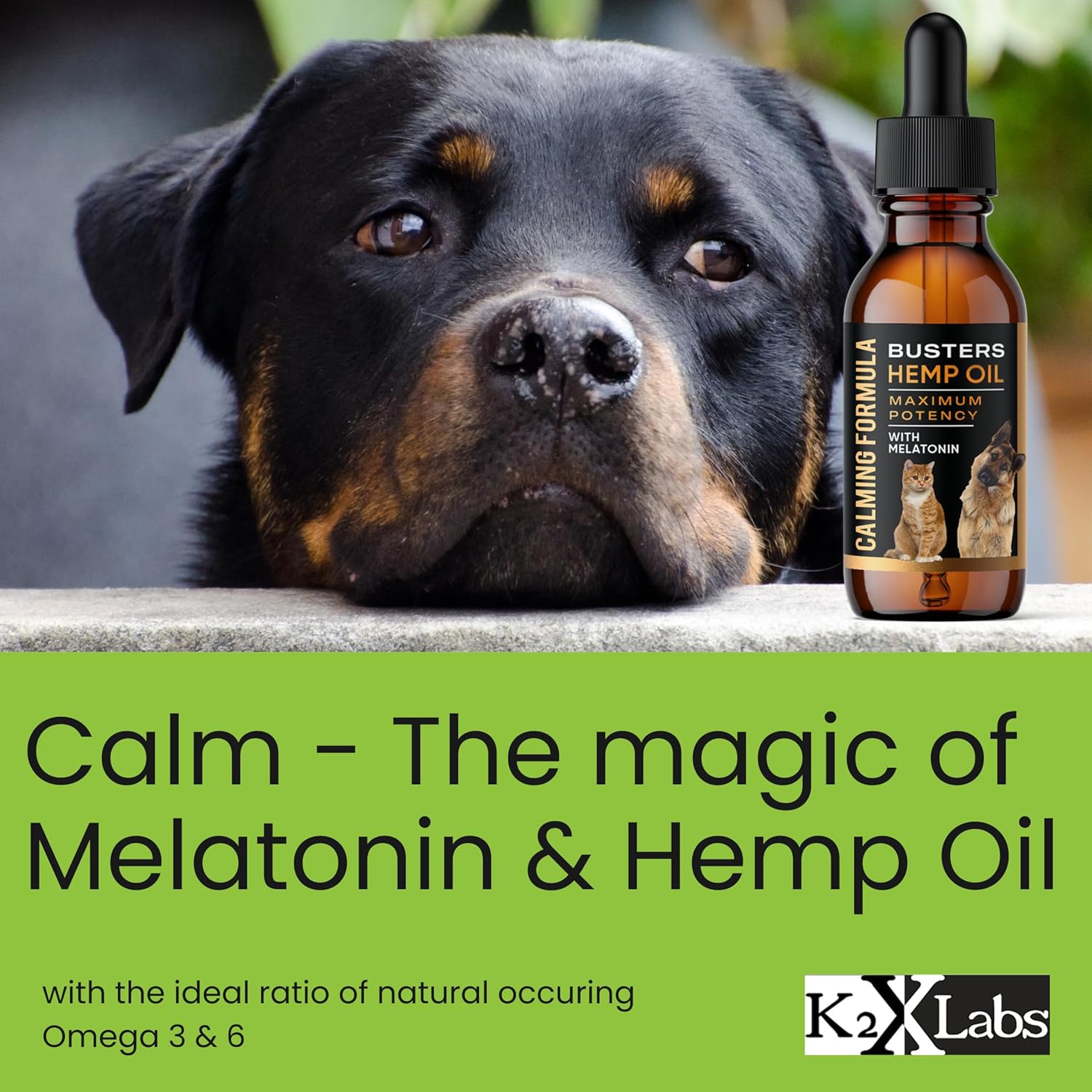Buster's Hemp Oil for Dogs and Cats - Melatonin Calming Formula - 2-Pack Natural Pet Hemp Oil - Sleep Support Supplement - Image 4