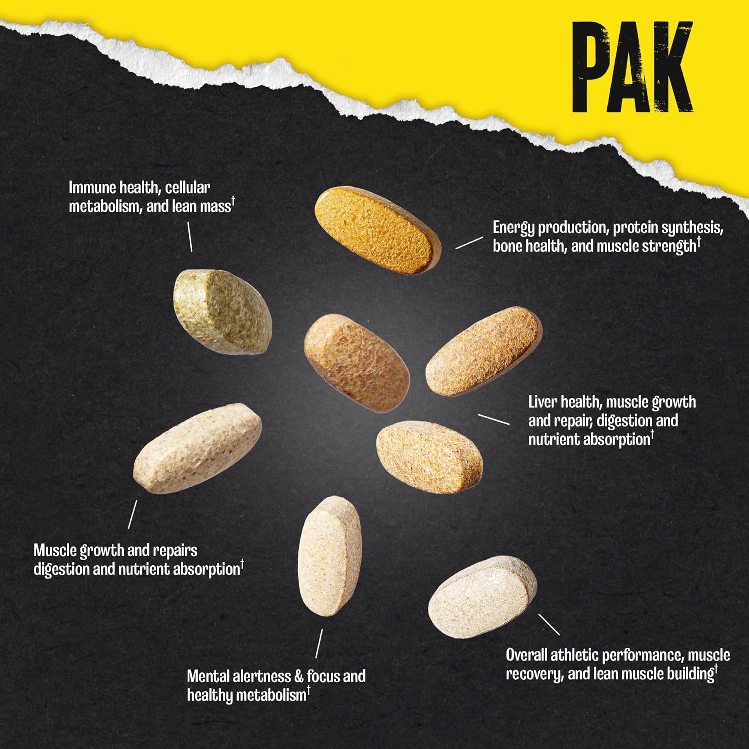 Animal Pak - Convenient Multivitamin for Men & Women Daily All-in-One Vitamin & Supplement Pack - Zinc, Vitamins C, B, D, Amino Acids, and Immune Support - Sports Nutrition Performance - 44 Count - Image 7