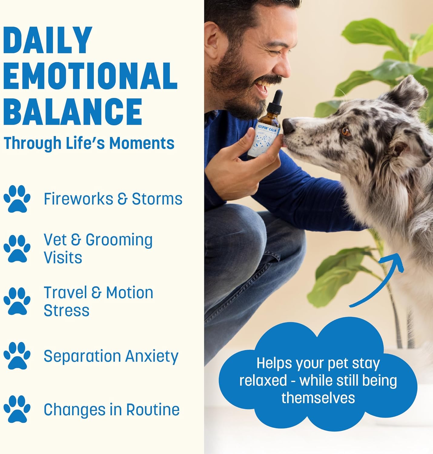 Keepin' Calm Ashwagandha Drops for Dogs & Cats - Calming Aid for Fireworks, Storms, Travel & Separation - Herbal Stress Relief, Non-Drowsy, 60ml - Image 5