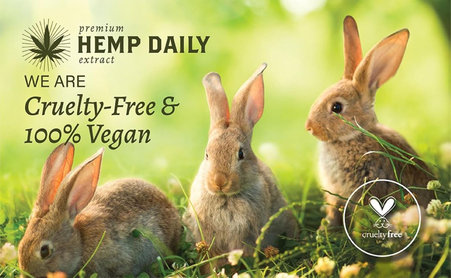 Premium Hemp Extract Daily Ultimate Cream - Menthol, Argan, Jojoba, Rosehips - Lightweight, Fast-Absorbing Moisturizing Topical Lotion with Essential Oils - Sandalwood, Single 5oz - Image 4