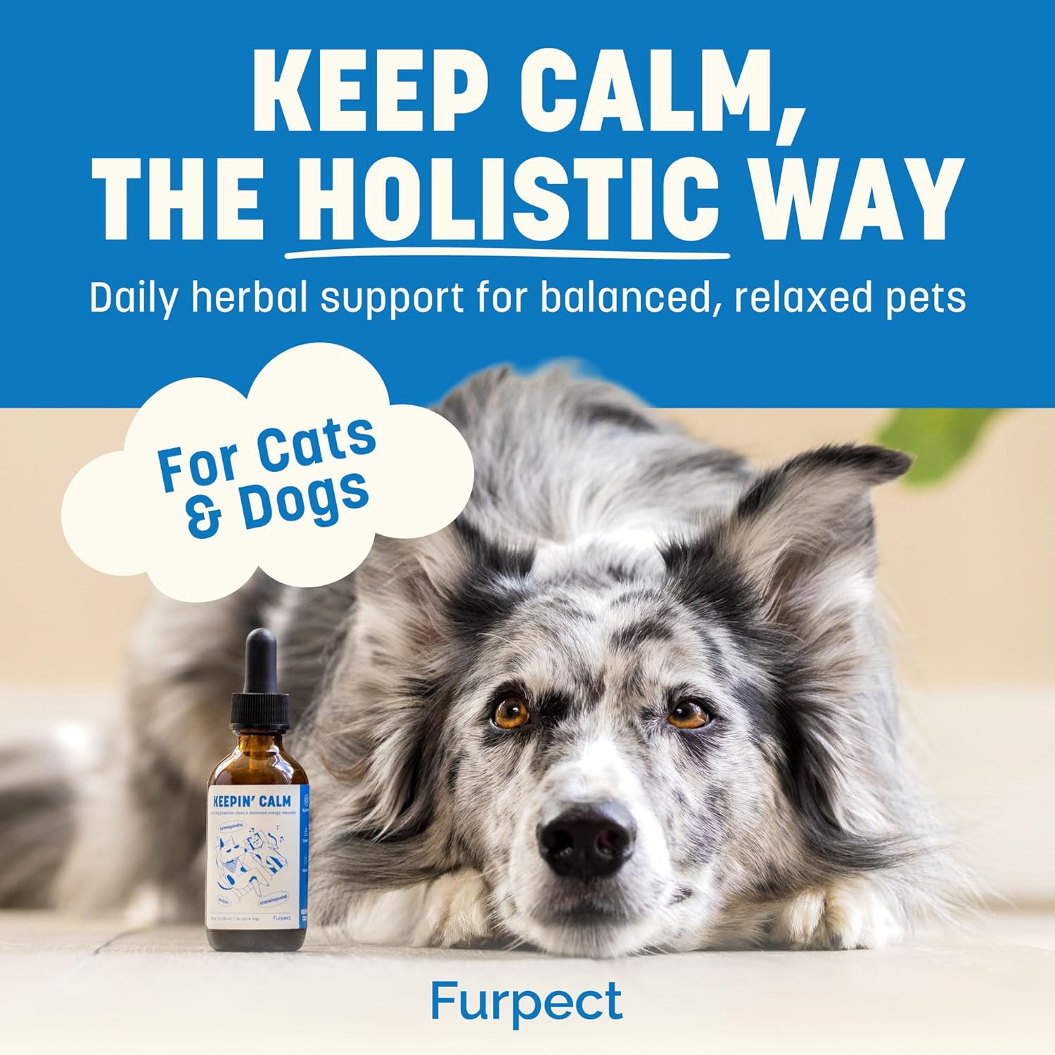 Keepin' Calm Ashwagandha Drops for Dogs & Cats - Calming Aid for Fireworks, Storms, Travel & Separation - Herbal Stress Relief, Non-Drowsy, 60ml - Image 2