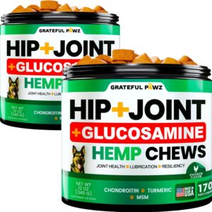 (2 Pack) Hemp Hip and Joint Supplement for Dogs - Glucosamine for Dogs - 340 Joint Pain Relief Treats - Chondroitin, MSM, Hemp Oil - Advanced Health Supplement - Mobility Support Chews - Made in USA