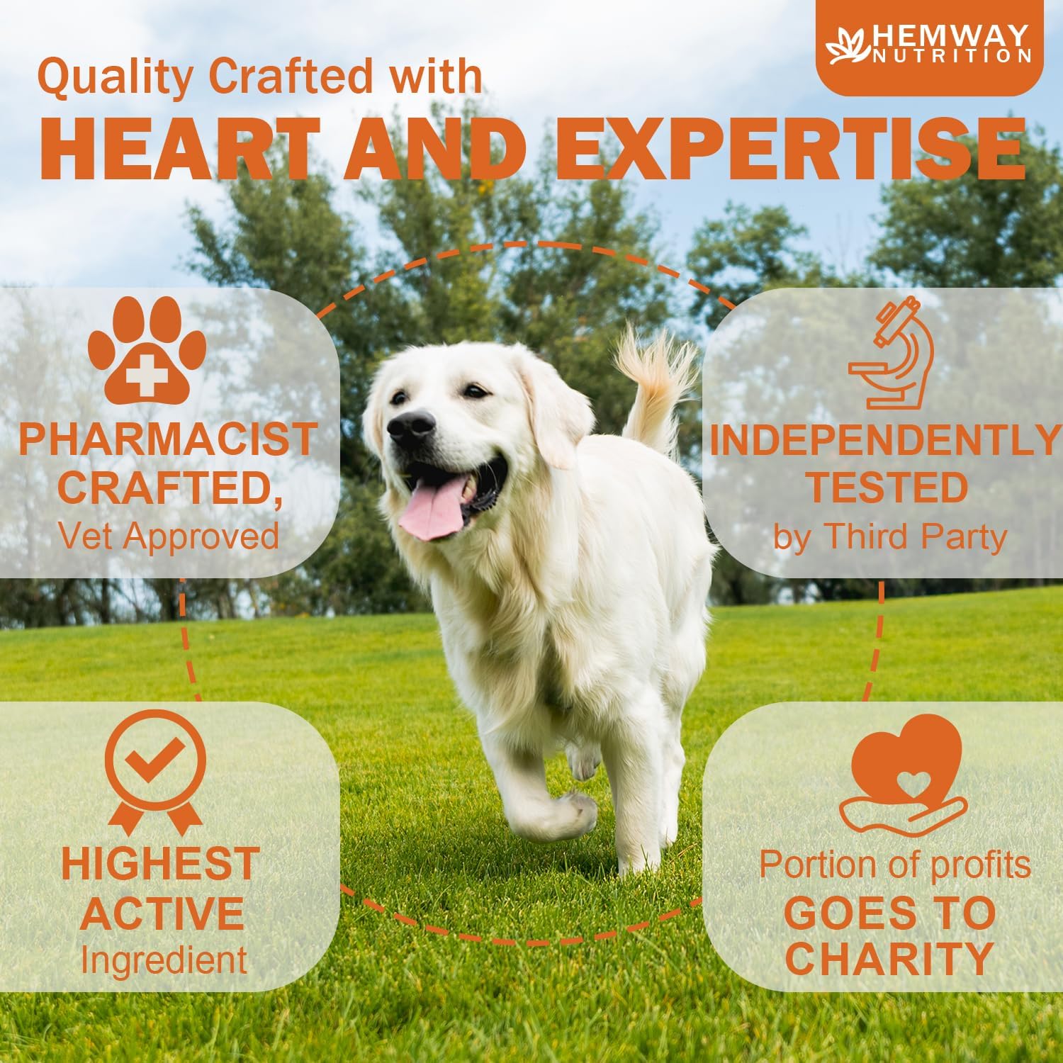 Hеmp Calming Chews for Dogs - Chicken Flavor Soft Chews - Dog Calming Treats Supplement for Storm Anxiety, Sleep, Relaxing, Separation Aid, Stress, Hyperactivity Relief - All Ages & Sizes - 240 Count - Image 4
