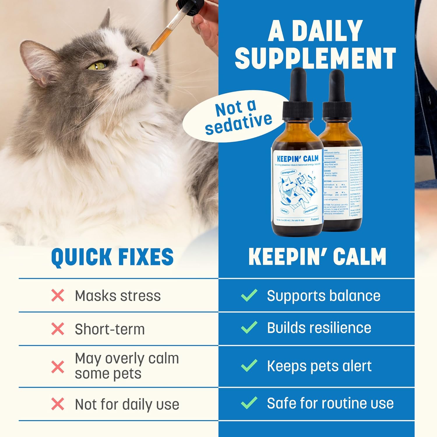 Keepin' Calm Ashwagandha Drops for Dogs & Cats - Calming Aid for Fireworks, Storms, Travel & Separation - Herbal Stress Relief, Non-Drowsy, 60ml - Image 4