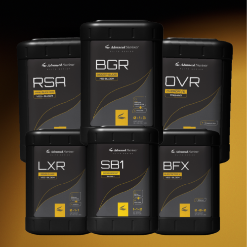 The Mid-Grade Crisis Crushing Cannabis Profitability and How to Escape It – Cannabis & Tech Today