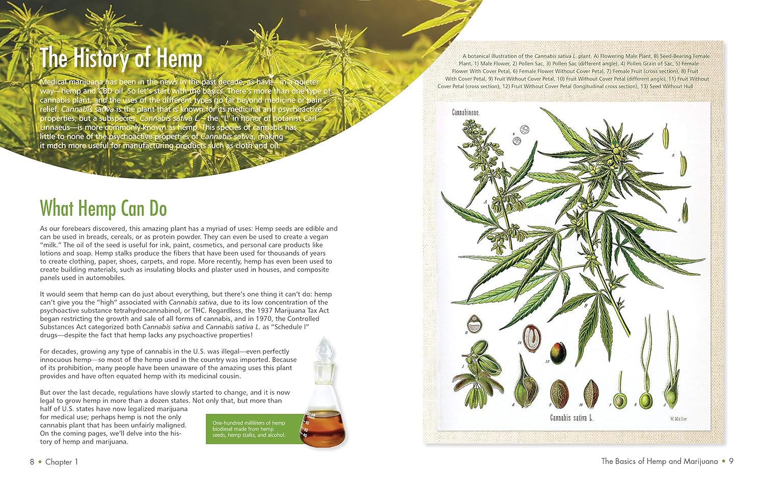 CBD Cannabidiol: Ease Pain and Promote Healing With Hemp Oil. Learn Where to Buy It, How to Use It, and the Conditions It Treats. - Image 4