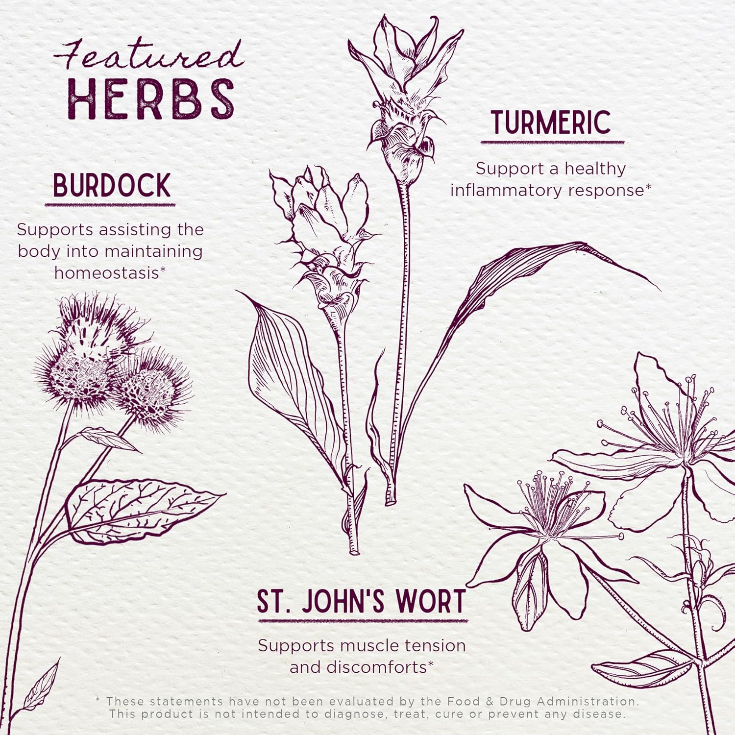 WishGarden Herbs Deep Recovery - Natural Herbal Muscle, Tissue & Joint Support Supplement with Turmeric Curcumin, Addresses Root Cause of Lingering Issues & Promotes Healthy Inflammatory Response, 4oz - Image 4