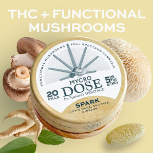 The Ultimate 4/20 Guide 2026 – Cannabis & Tech Today