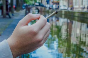 The Dutch legal cannabis experiment one year on
