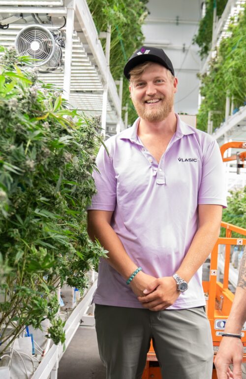 From Pickle Bags to Nickel Bags – Cannabis & Tech Today