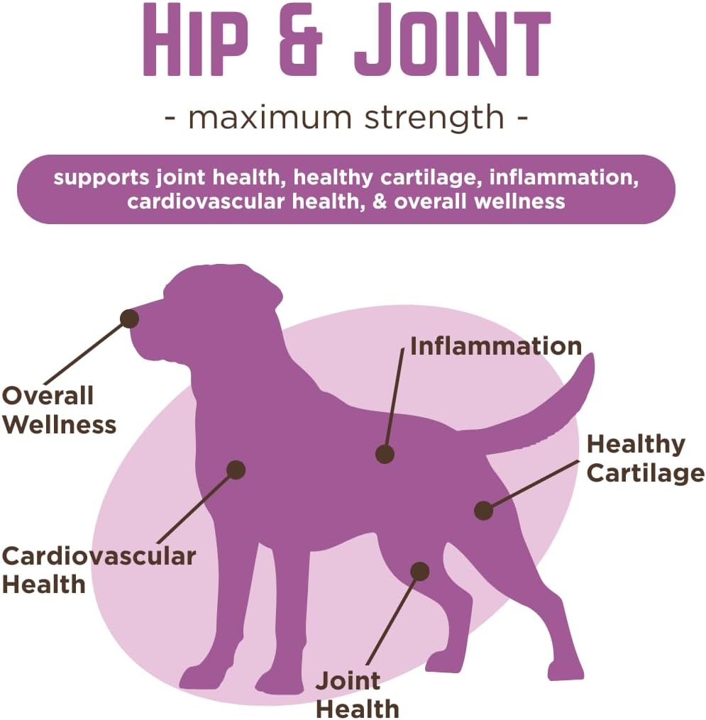 Dr. Joseph's VetPro Complete Dog Hip & Joint Supplement for Arthritis Pain Relief – High-Strength Glucosamine & Chondroitin Chews for Senior Dogs – Vet Formulated, Peanut Butter Flavor, 120 Ct - Image 3