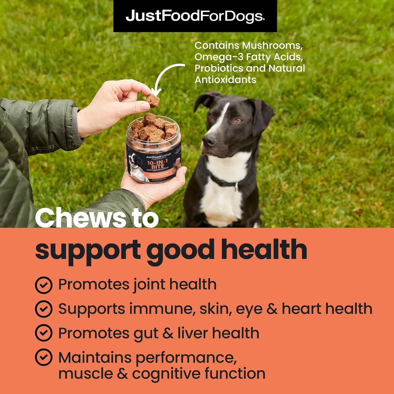 JustFoodForDogs 10-in-1 Multifunctional & Probiotic Supplement Soft Chews for Dogs Plant-Based, Human Grade, Digestive Health Support, Diarrhea -45 Count of Each, 90 Chews Total - Image 2