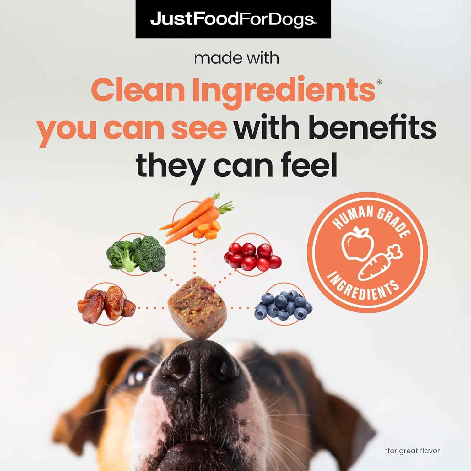 JustFoodForDogs 10-in-1 Multifunctional & Probiotic Supplement Soft Chews for Dogs Plant-Based, Human Grade, Digestive Health Support, Diarrhea -45 Count of Each, 90 Chews Total - Image 4