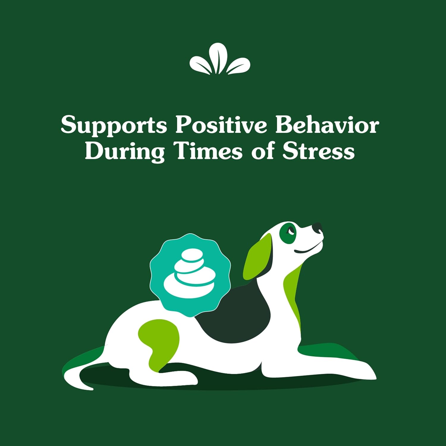 Greenies Supplements Calming Chews for Dogs Chicken Flavor, Dog Calming Chews, 7.3 oz. Container of 40 Count - Image 4