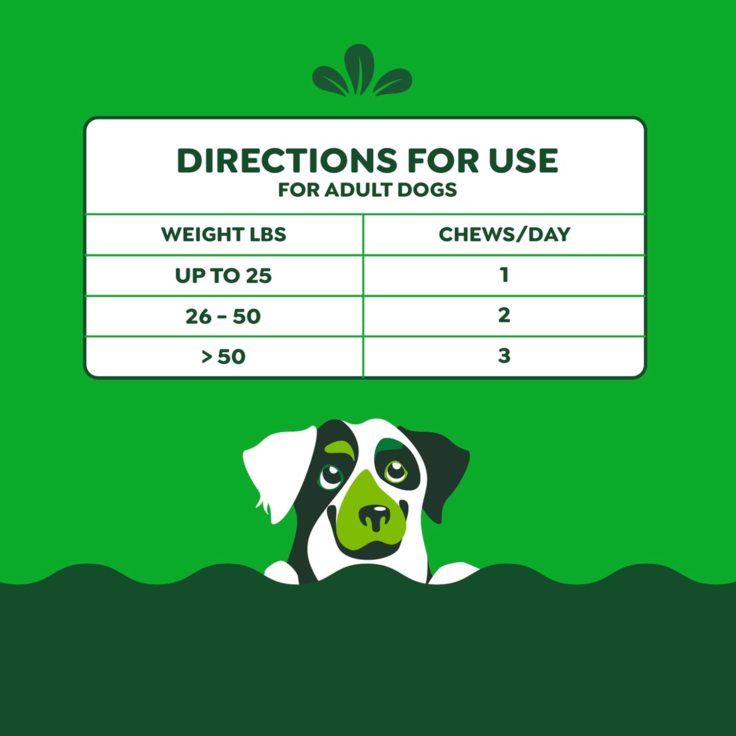 Greenies Supplements Calming Chews for Dogs Chicken Flavor, Dog Calming Chews, 7.3 oz. Container of 40 Count - Image 8