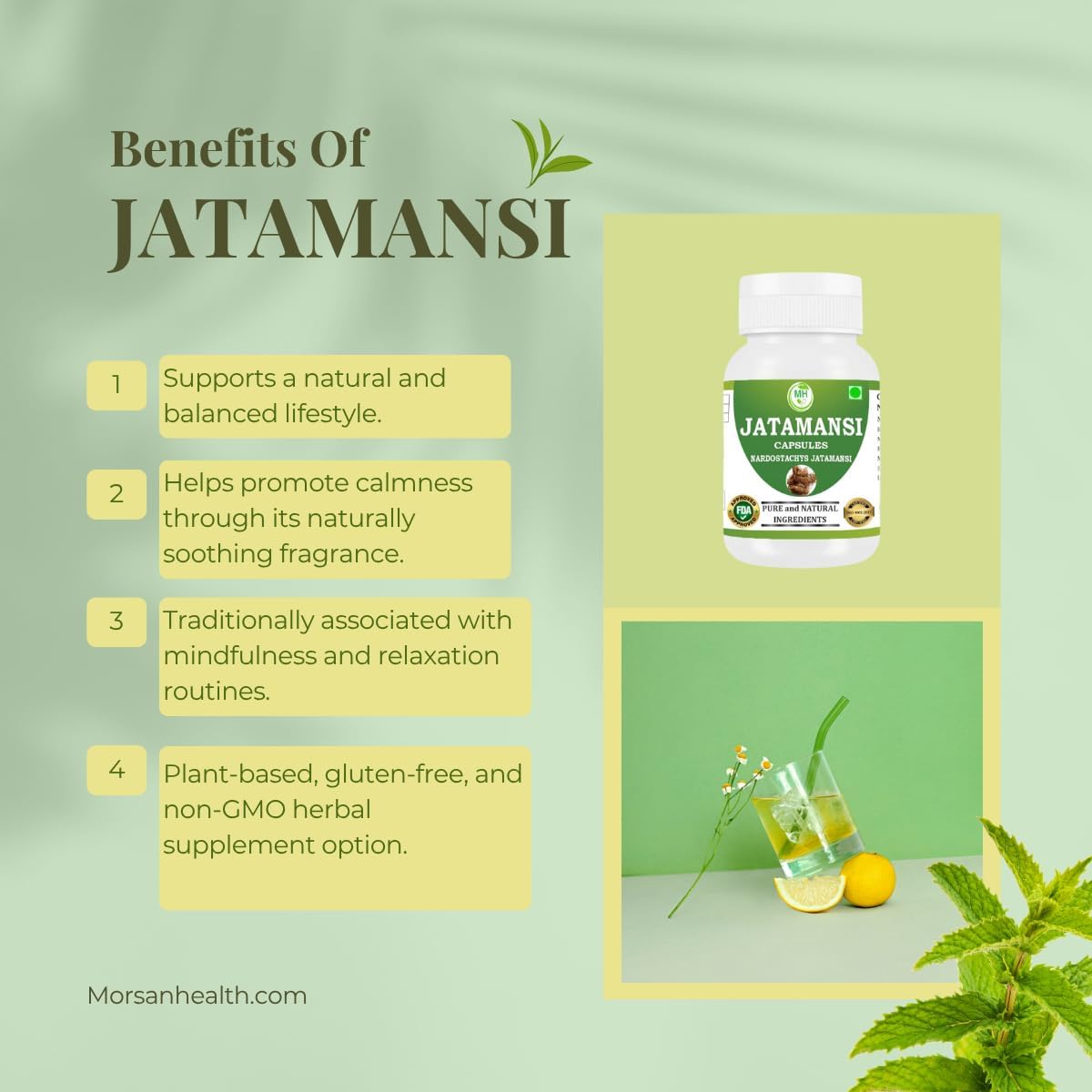 Jatamansi Capsules 500 mg | Pure Nardostachys Jatamansi Extract | Herbal Calming & Relaxation Support | Ayurvedic Wellness Supplement | 60 Vegetarian Capsules | Pack of 1 - Image 3
