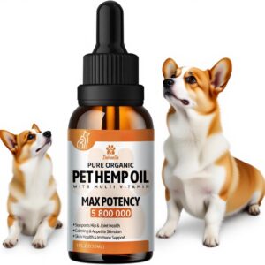 Oil for Dogs, Rеlief for Dogs Cats, Helps Pets with Anxiеty-Omega 3-6-9-Pet Oil Drops Treats - Hip and Joint Support (G-1pc)