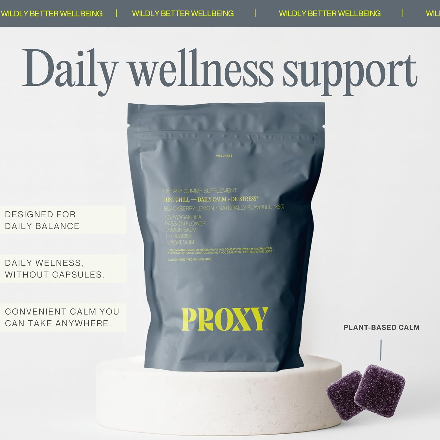 PROXY Just Chill Stress Relief Gummies | Daily Calm with Ashwagandha, Magnesium, L-Theanine, Lemon Balm & Passionflower | Natural Stress Support & Relaxation | Vegan BlackBerry Lemon, 30 Count - Image 3