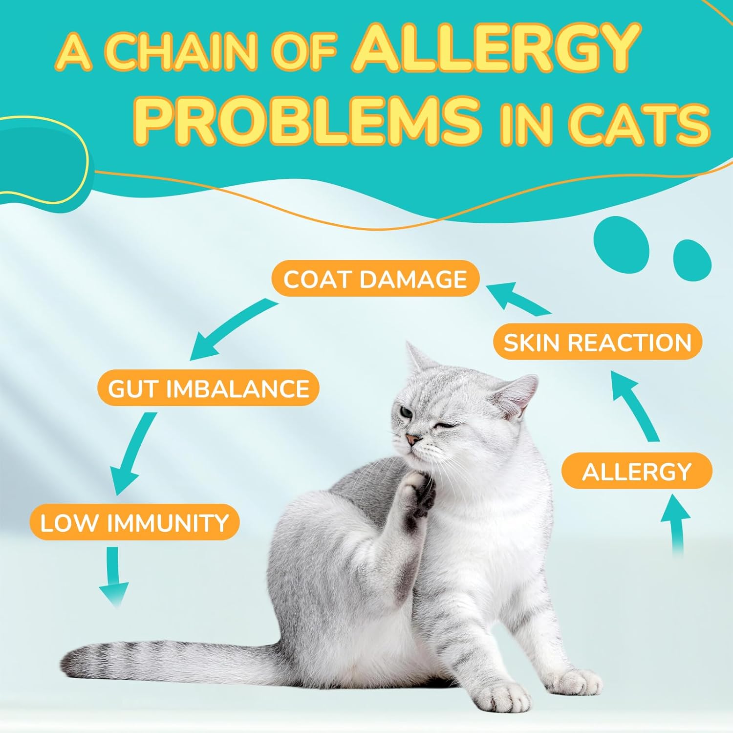 Woyamay Cat Allergy Relief for Cats with Probiotics, 500 Crunchy Cat Probiotic & Allergy Chews, Cat Allergy Treats to Stop Itching & Scratching, Probiotics for Cats Support Gut Health, Chicken Flavor - Image 3