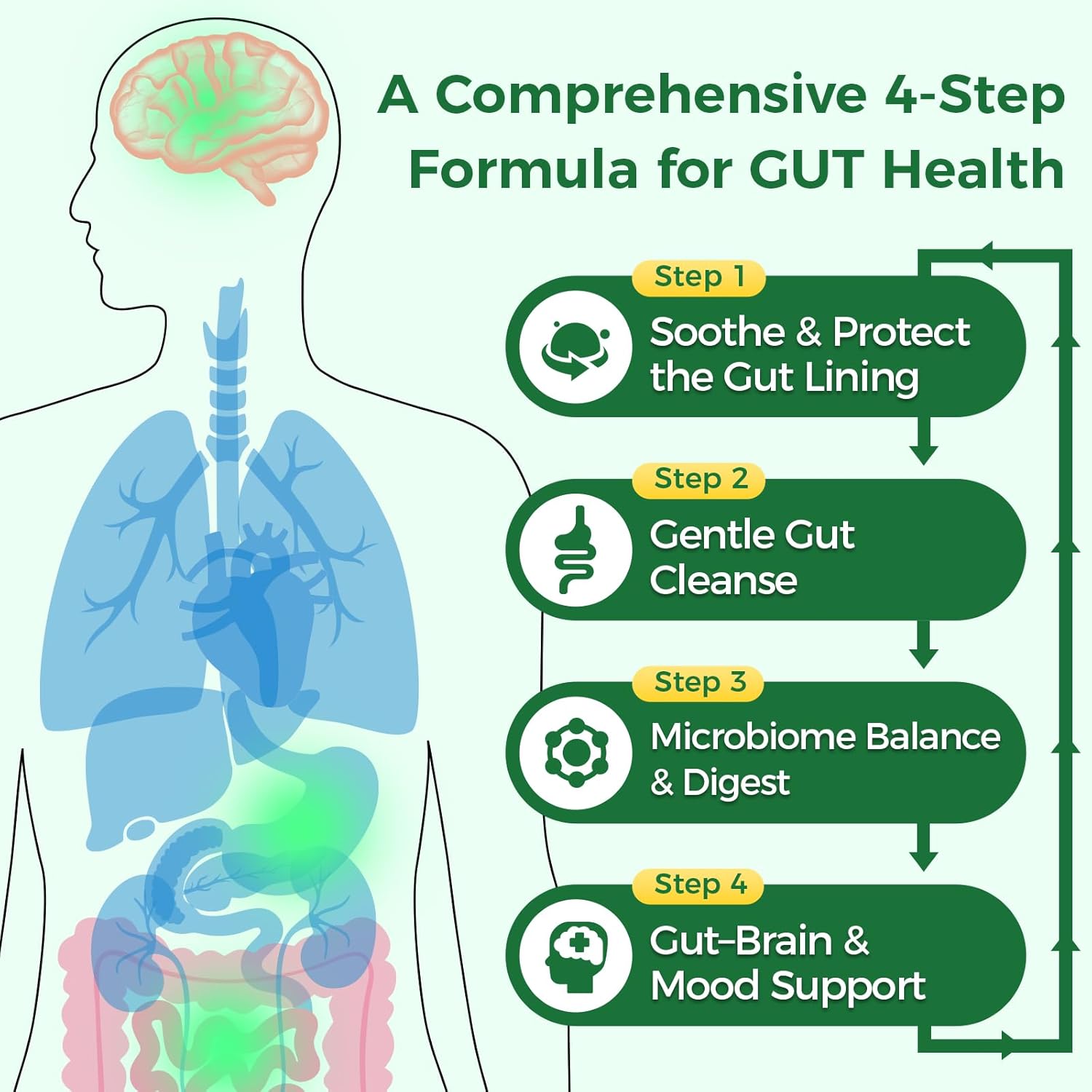 GREENPEOPLE Digestive Enzymes for Women & Men - Gentle Gut Health & Cleanse Capsule with Slippery Elm, Chlorophyll, Spirulina, Probiotics Complex - Complete Sensitive Gut Supplement 60 Count 2 Packs - Image 5