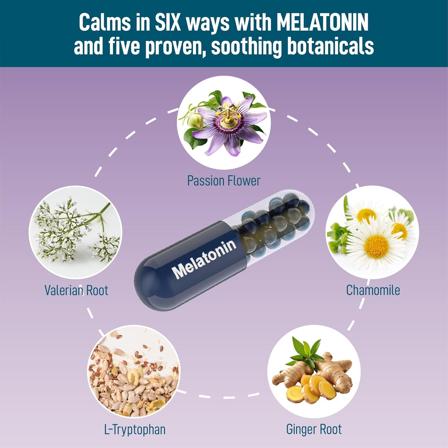 Calming Chews Treats for Dogs with melatonin for Dogs to Provide Calming, Stress and Dog Anxiety Relief. 90 Bacon-Flavored Soft Chews - Image 3