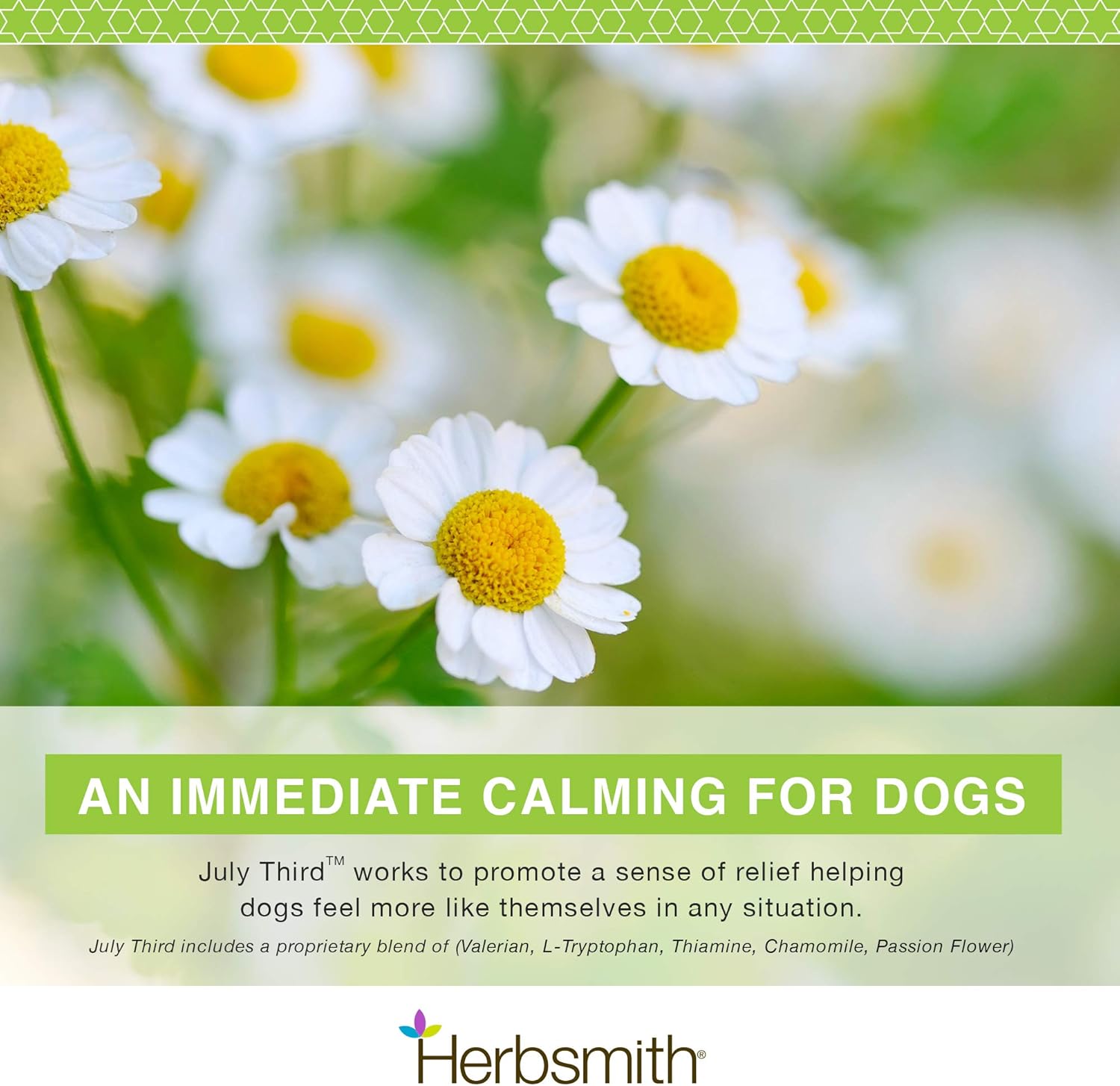 Herbsmith July Third - Canine Calming Chews - Calming Herbs for Dogs - Anxiety Supplements for Dogs - 30ct Large Chews - Image 3