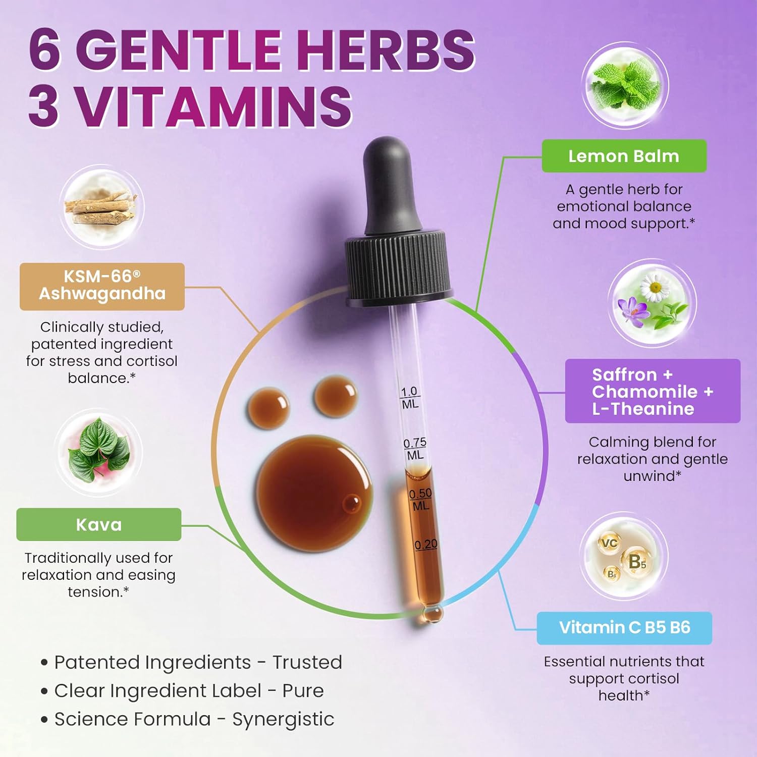 Cortisol Supplements for Women, Cortisol Reducer Manager Detox with KSM-66® Ashwagandha, Kava, Lemon Balm & Vitamin C B5 B6, Lower Cortisol, Hormone Harmony Liquid Drops, 2 FL.OZ, Blueberry Flavor - Image 2