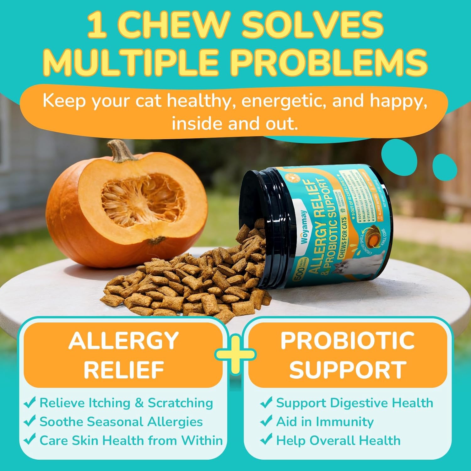 Woyamay Cat Allergy Relief for Cats with Probiotics, 500 Crunchy Cat Probiotic & Allergy Chews, Cat Allergy Treats to Stop Itching & Scratching, Probiotics for Cats Support Gut Health, Chicken Flavor - Image 4