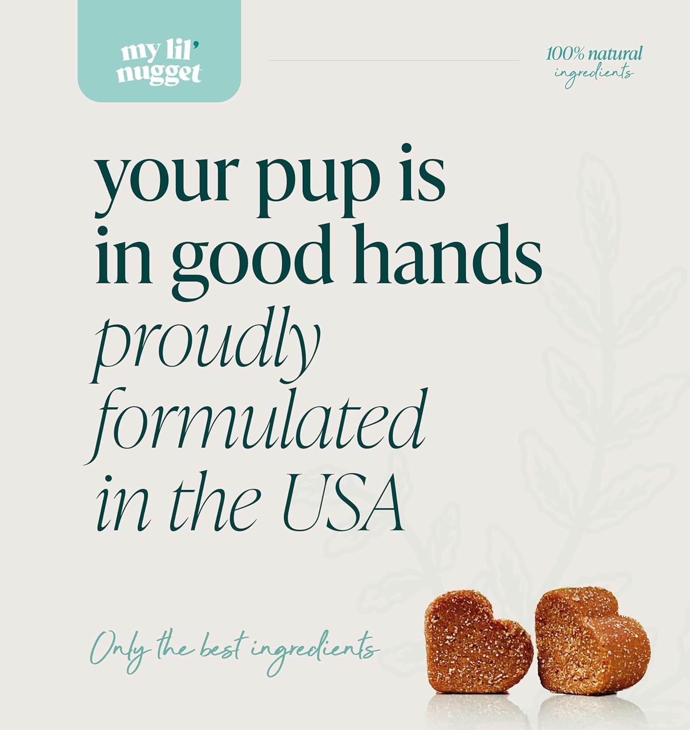 My Lil’ Nugget - Vet-Approved Mood & Cognition Chews for Dogs | All-Natural Dog Mental Health Support & Improve Memory | Lion’s Mane & Ashwagandha | Helps Puppy to Senior Dogs | 90 Salmon Flavor Chews - Image 9