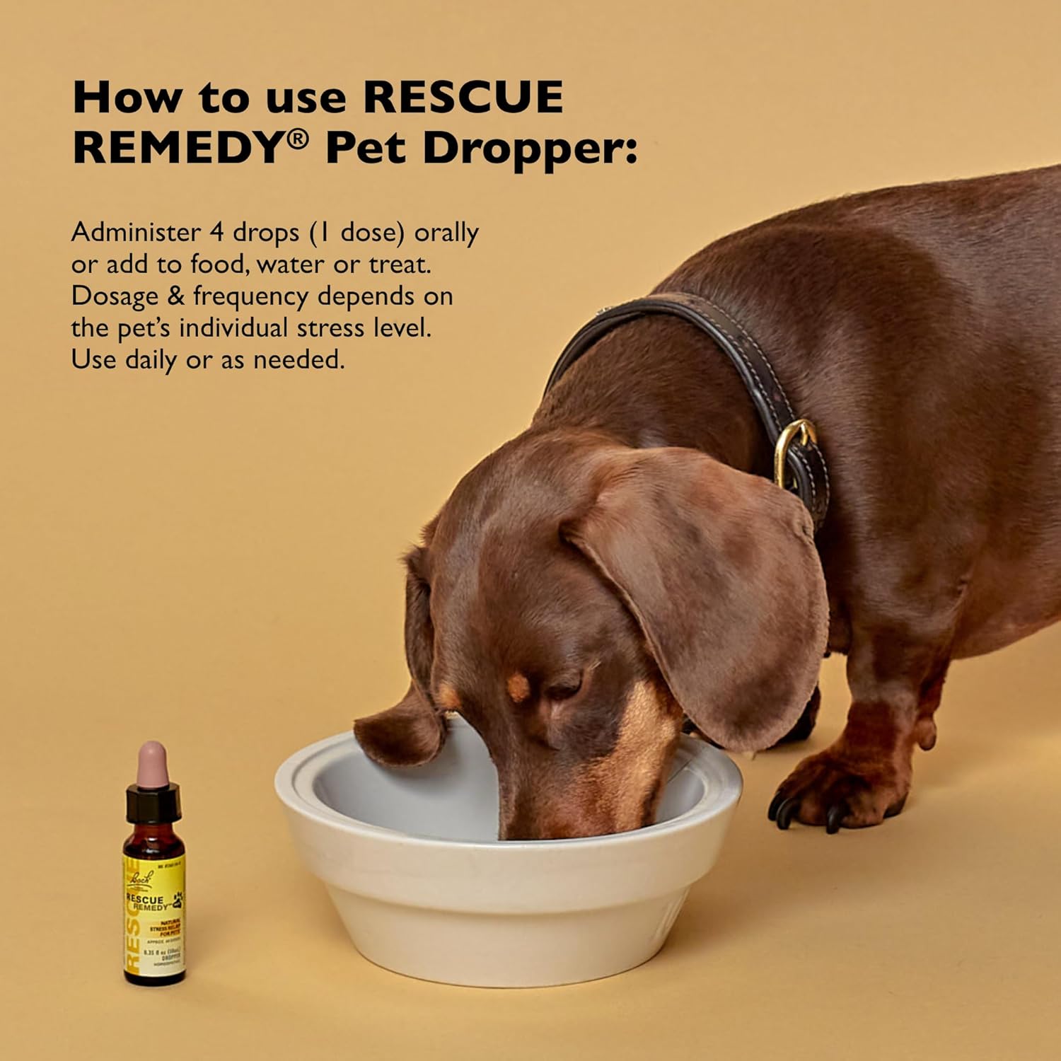 Rescue Remedy Pet Dropper - 10mL - Stress & Tension Support for Dogs & Cats with Bach Natural Flower Essences - Sedative-Free, Homeopathic Liquid Formula - For All Breeds, Ages & Weights - Image 3