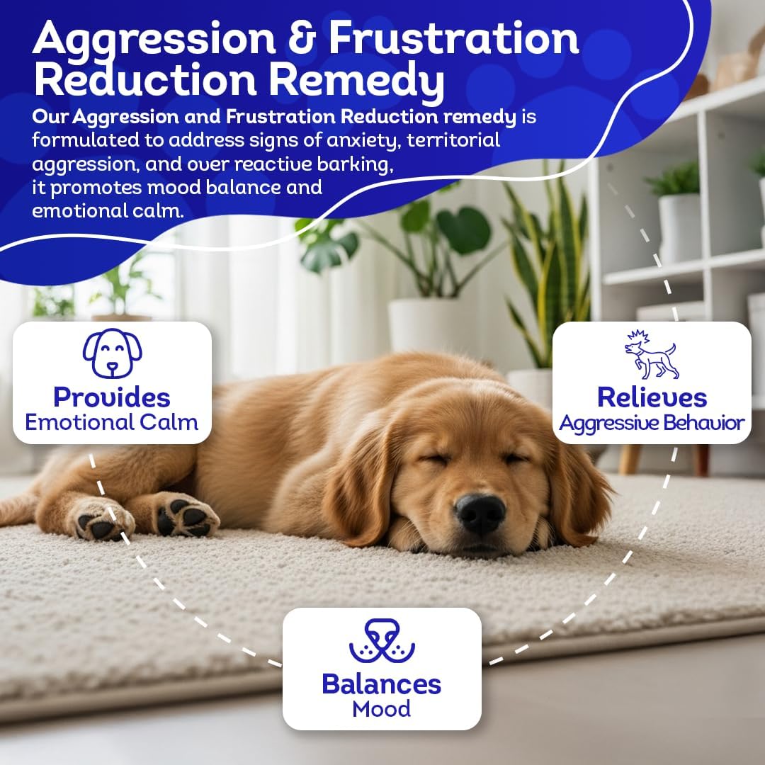 HA4E - Calming Tablets for Stressed and Aggressive Dogs - Reduce Dog Aggression & Promote Relaxation - All-Natural, Homeopathic Remedy - Tablets, Kennel Size (Extra Large) - Image 4