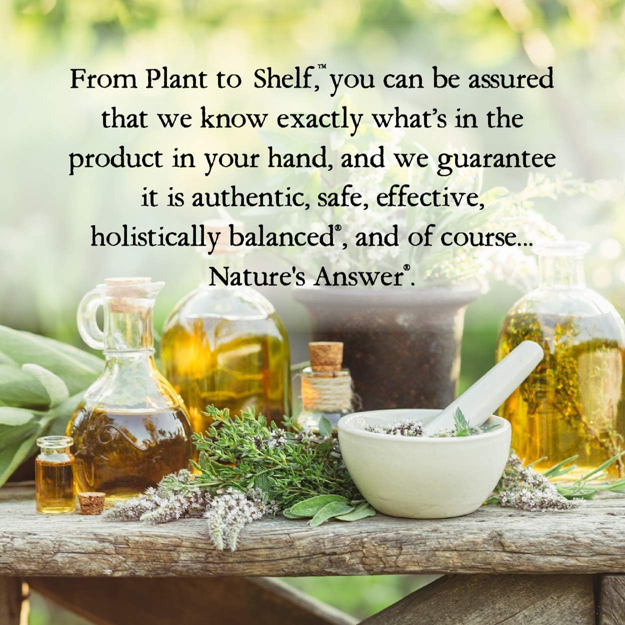 Nature's Answer Valerian Root 2 Ounce Extract - Alcohol-Free, Gluten Free, Kosher, Non-GMO, Made in USA - Calming & Relaxation Support - Valerian Root for Sleep, Rest Aid - Image 6