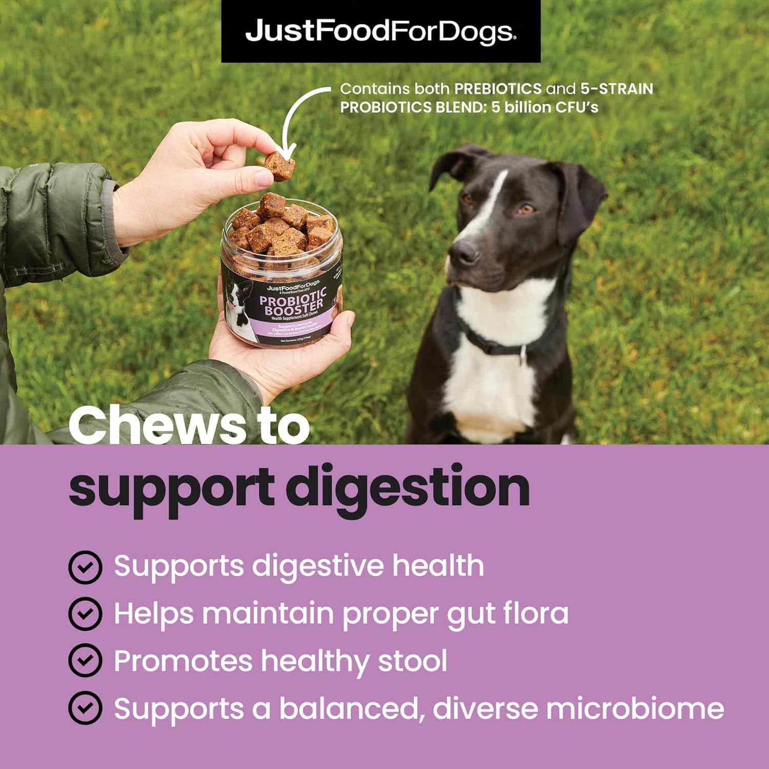 JustFoodForDogs 10-in-1 Multifunctional & Probiotic Supplement Soft Chews for Dogs Plant-Based, Human Grade, Digestive Health Support, Diarrhea -45 Count of Each, 90 Chews Total - Image 3