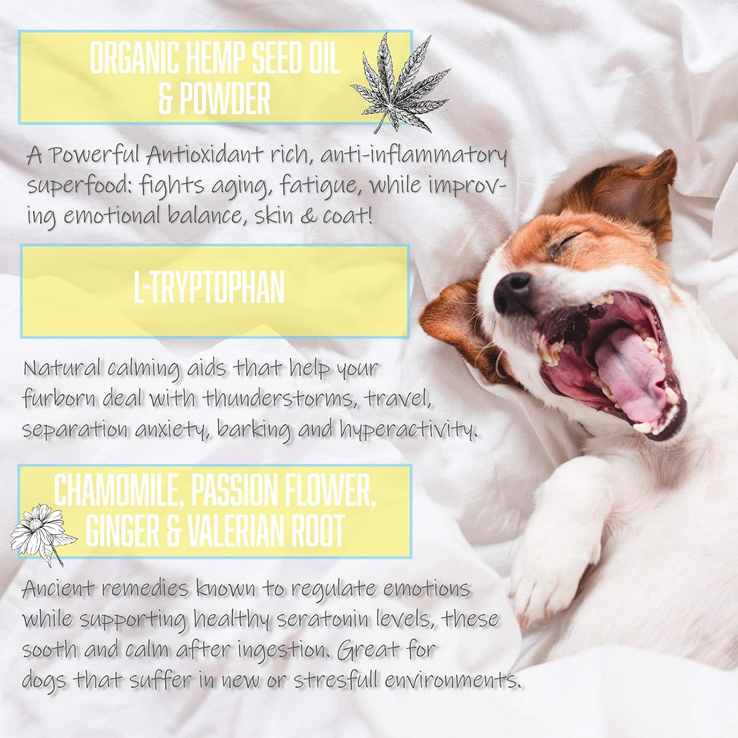 Calming Treats for Dogs with Organic Hemp Oil, Tryptophan, Chamomile, Passion Flower & Valerian - Stress & Anxiety Relief for Separation, Travel, Fireworks, Storms and Barking - 120 Soft Chews.. - Image 4