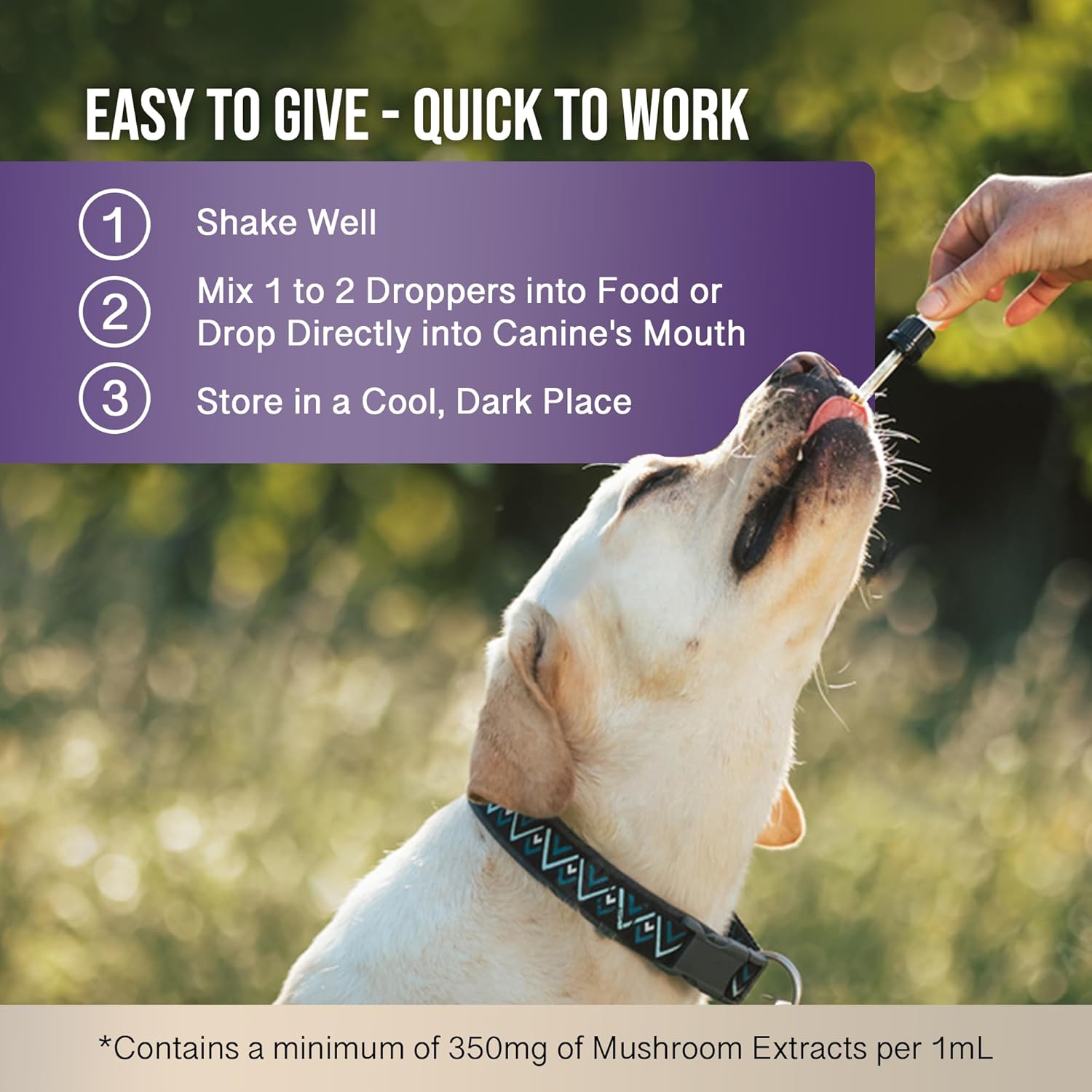 Calm & Clarity Cognitive Support Bundle: Calm Hemp Oil for Dogs (Dog Calming Drops) | MycoDog Clarity Mushroom Extract & Adaptogen Tincture for Emotional, and Mental Wellness - Image 5