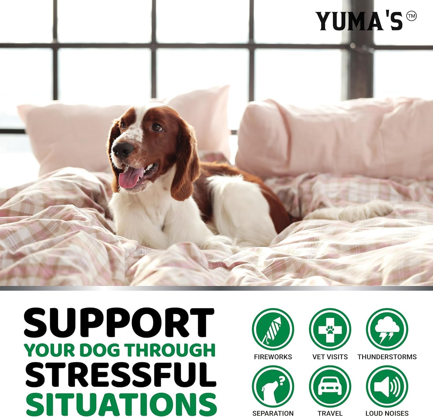 Advanced Calming Chews for Dogs - Hemp Dog Calming Chews - Anxiety Relief Treats with Melatonin, Hemp Oil - Separation Aid, Stress, Hip and Joint Supplement for Canine Health Support - Made in USA - Image 5