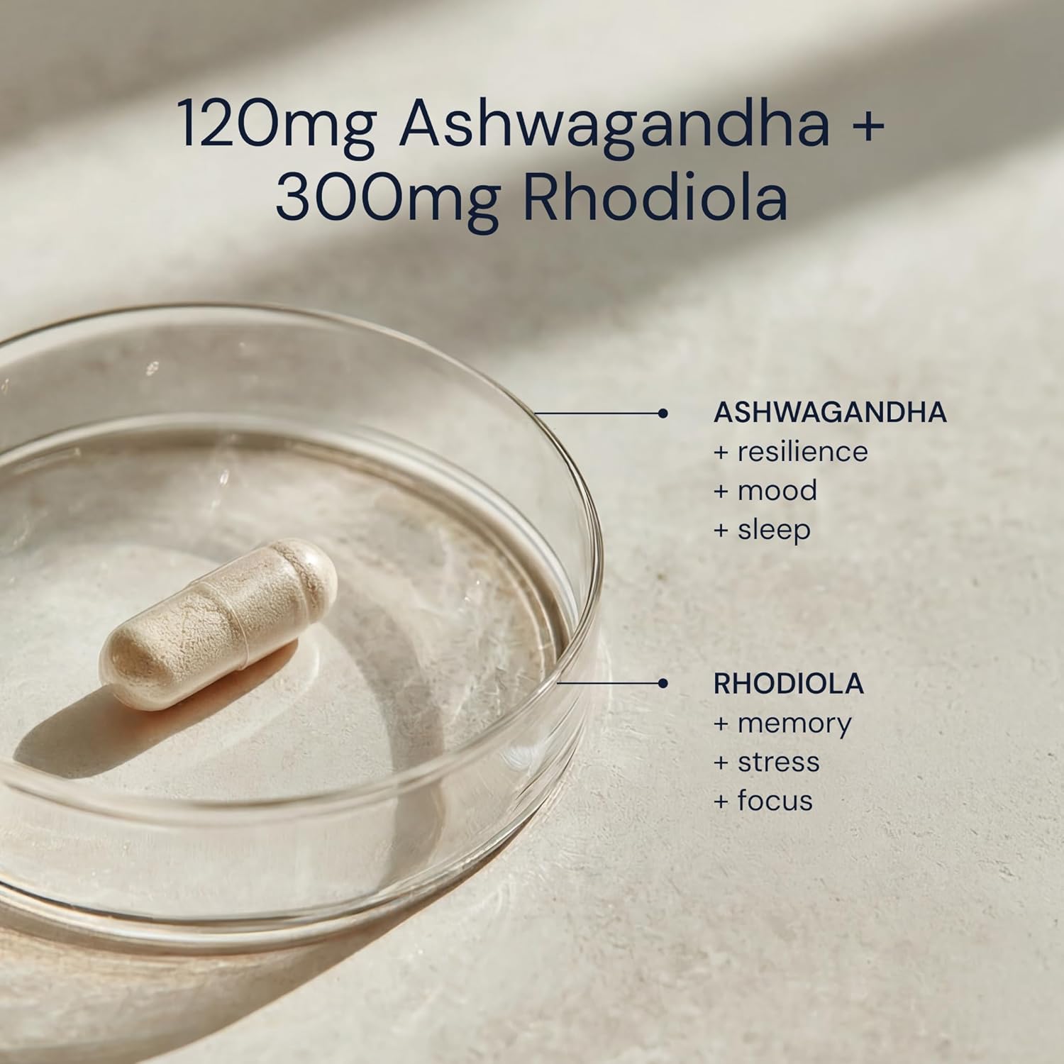 Blueprint Bryan Johnson Ashwagandha & Rhodiola Supplement – 120mg Ashwagandha + Rhodiola Root – Daily Adaptogen Capsules for Stress Support, Mood Balance, Energy & Focus – 30 Vegan Capsules - Image 5