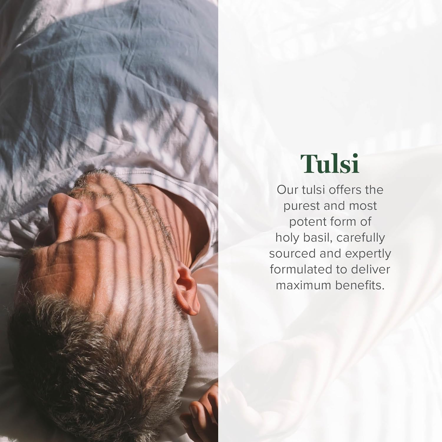 Global Healing Center - Organic Tulsi (Holy Basil Leaf Extract) Vegan Liquid Supplement Drops (Organic Basil) - Bioavailable Herb for Normal Stress Response, Natural Energy & Immune Support - Image 2