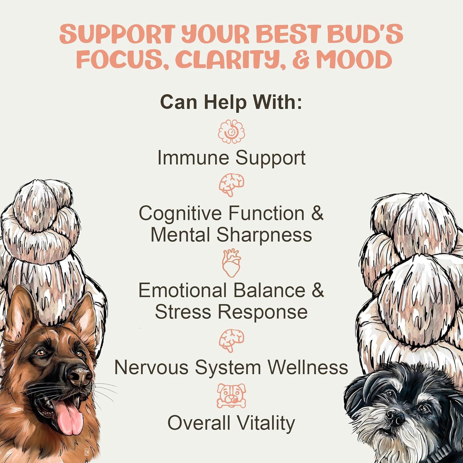 MycoDog Lions Mane Mushroom Supplement for Dogs - Cognitive & Brain Health - Lions Mane for Dogs - Senior Dog Wellness Drops - Image 5