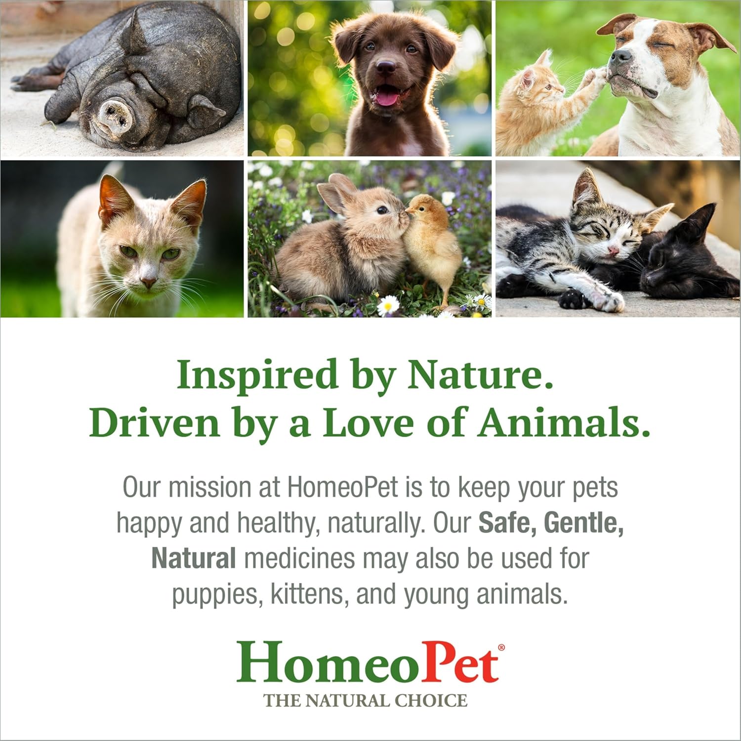 HomeoPet Feline Anxiety Relief, Safe and Natural Pet Stress and Anxiety Support Supplement for Cats, 15 Milliliters - Image 7