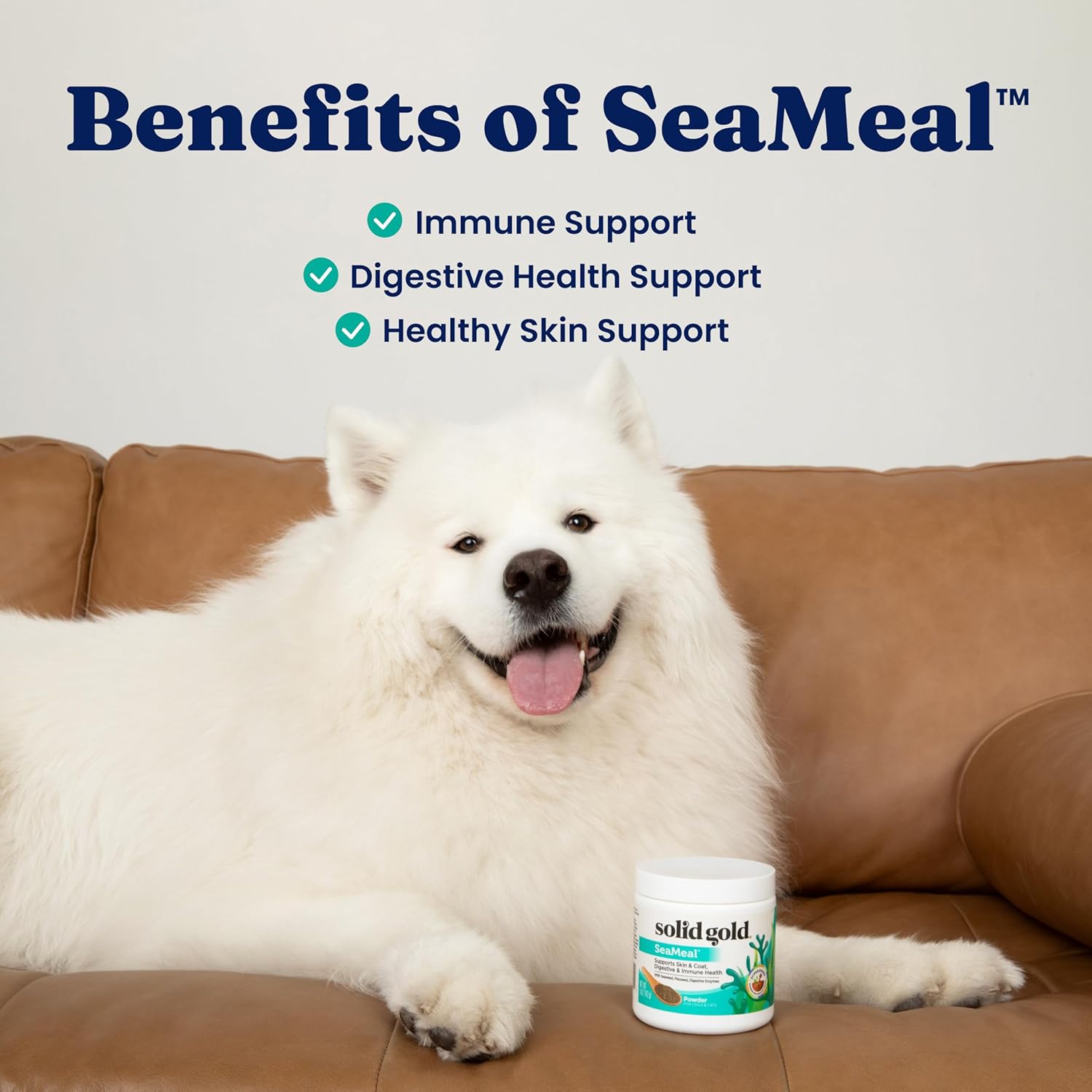 Solid Gold Cat & Dog Multivitamin Powder - Kelp Powder, Omega 3 & Vitamins for Dental, Digestive, Immune, Skin & Coat Health - Multi Vitamin for Dogs & Cats - Cat & Dog Food Additive Supplement - 5oz - Image 4